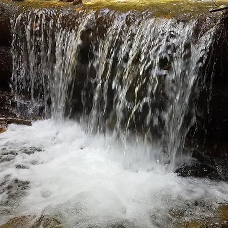 Steiner Apartament Breitenbrunn (Styria)