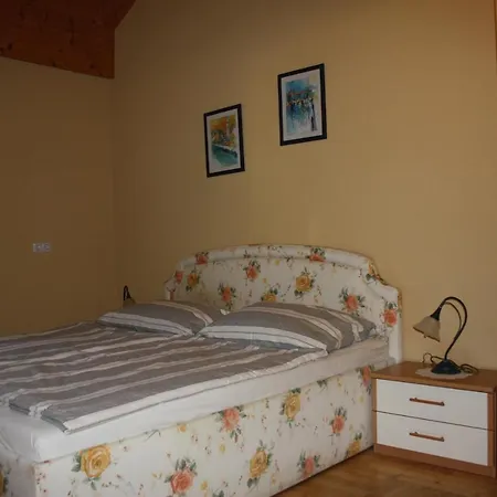 Steiner Apartment
